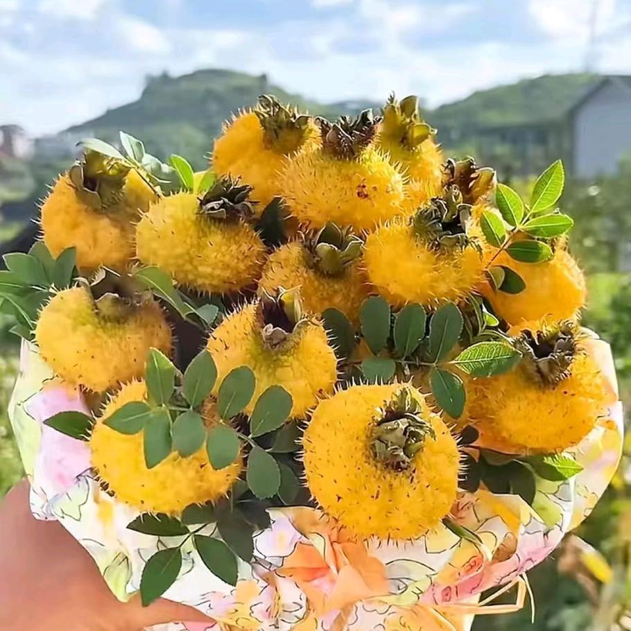 老孟家的二小妞