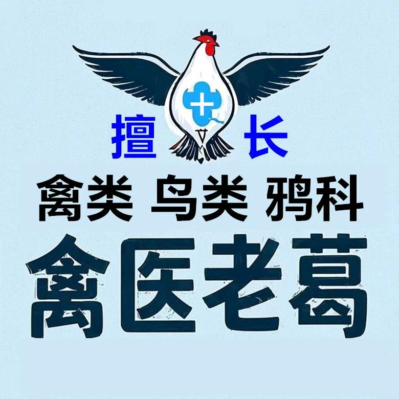 禽医老葛