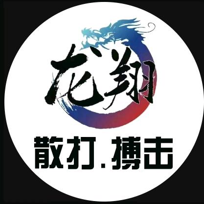 龙翔精英班牟教练