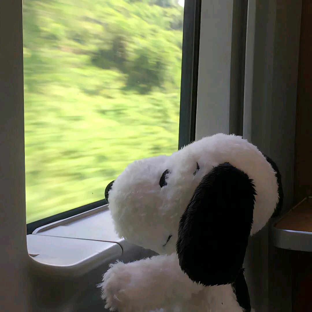 一夕流年
