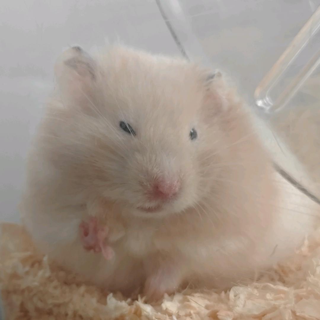 十一不会拾忆会释忆