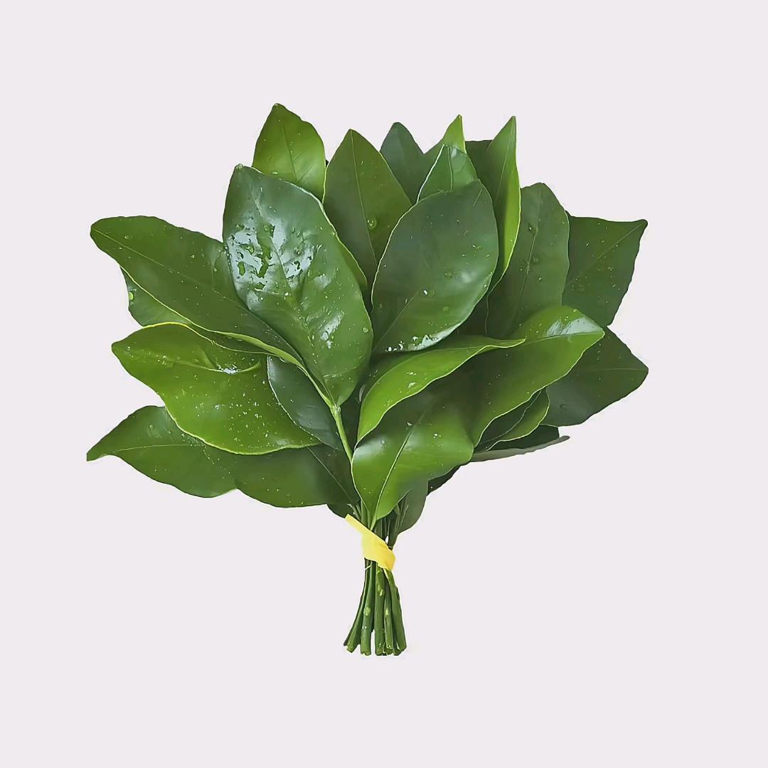 舒服葭