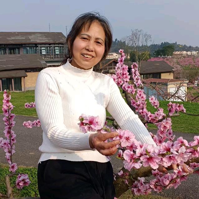 杨姐（首播）