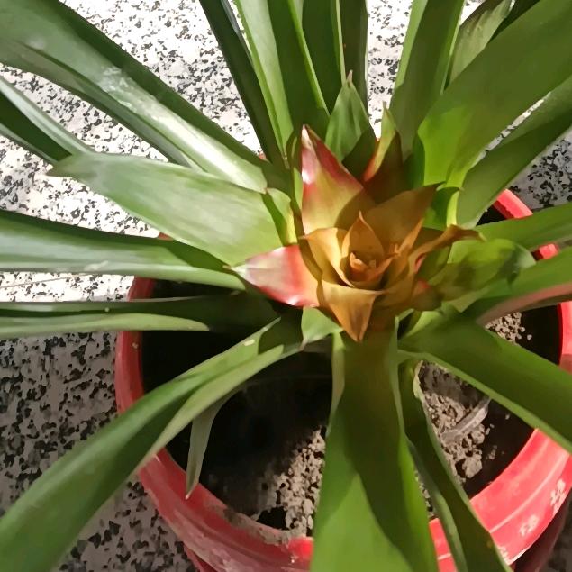 一天更比一天好