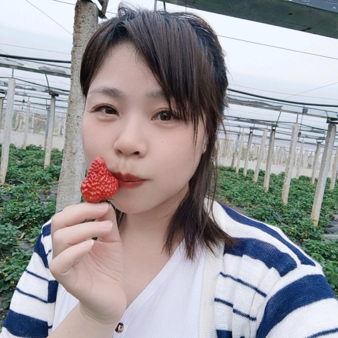 太阳花