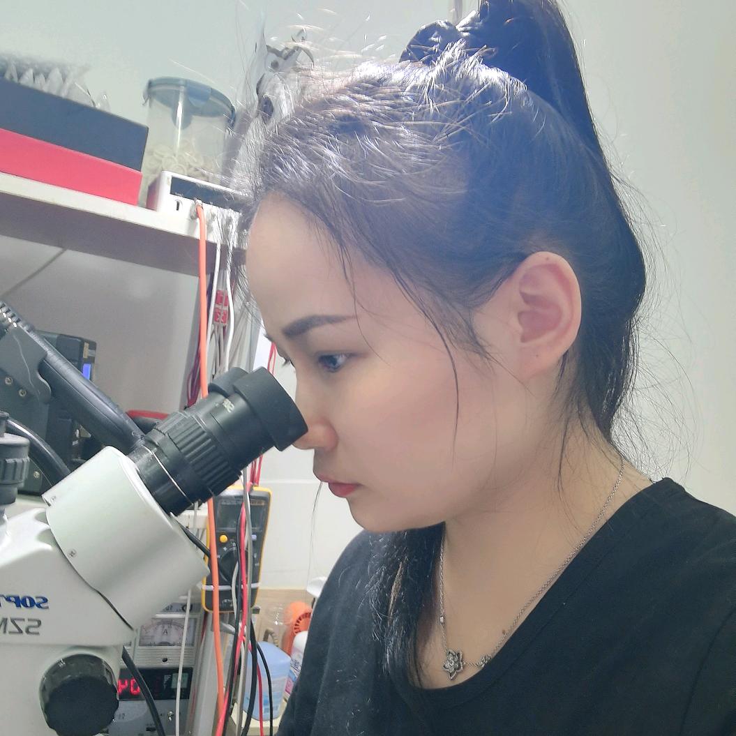 孔有知