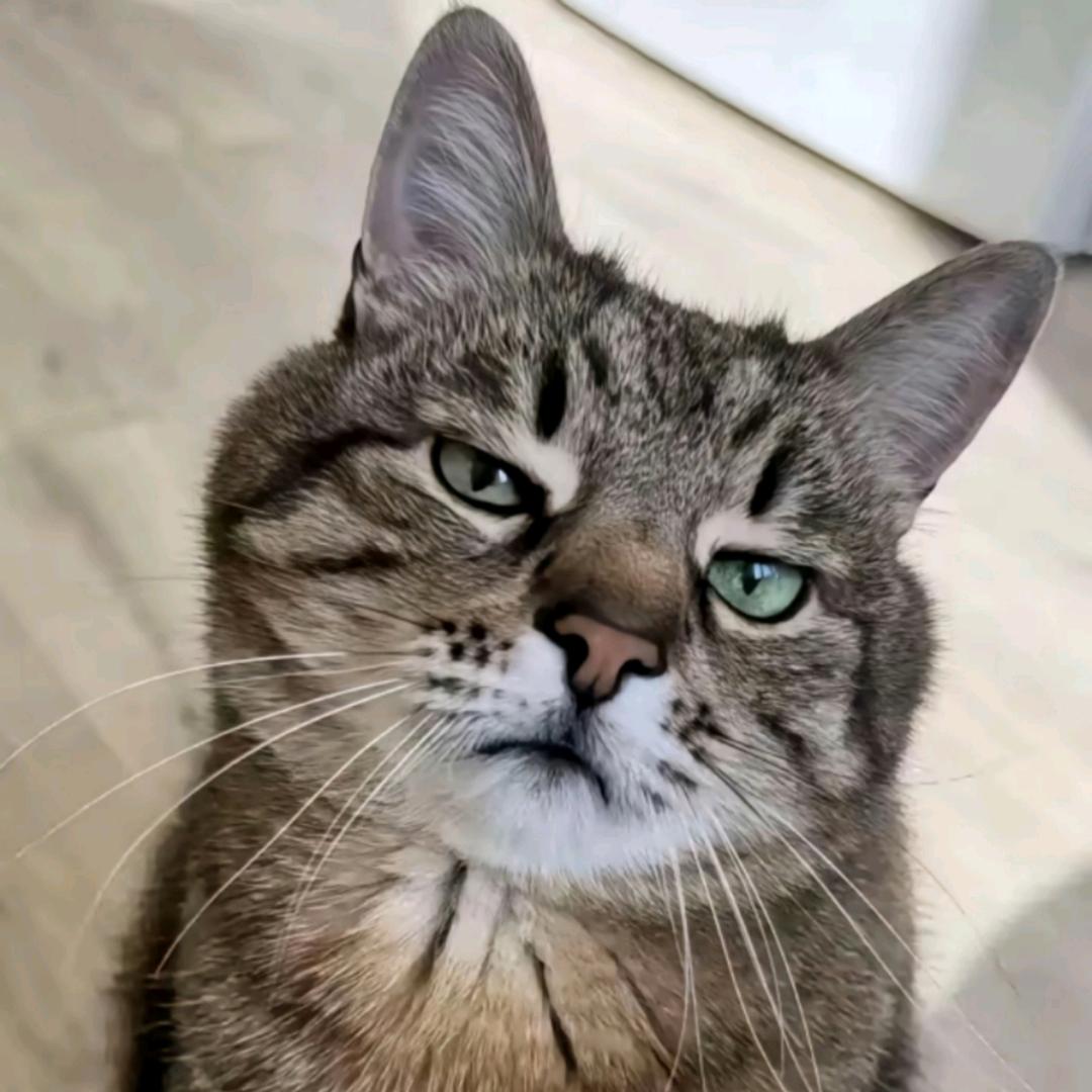月儿小小