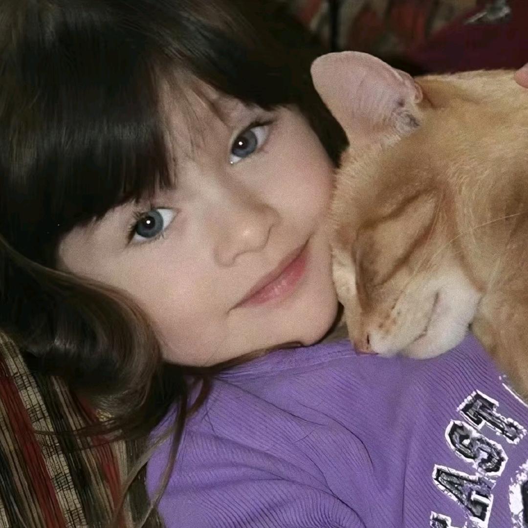 我再也不养猫了