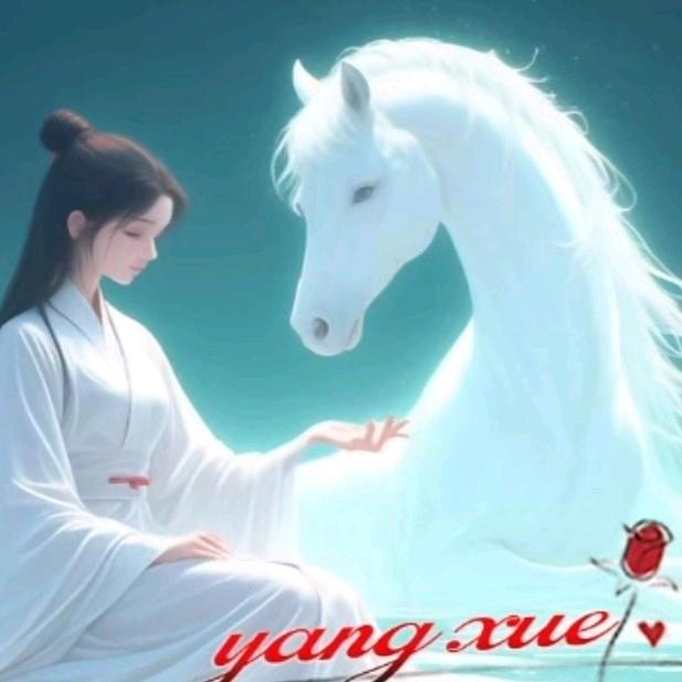 ⁵²⁰❦᭄九霄☪️揽月✨࿐