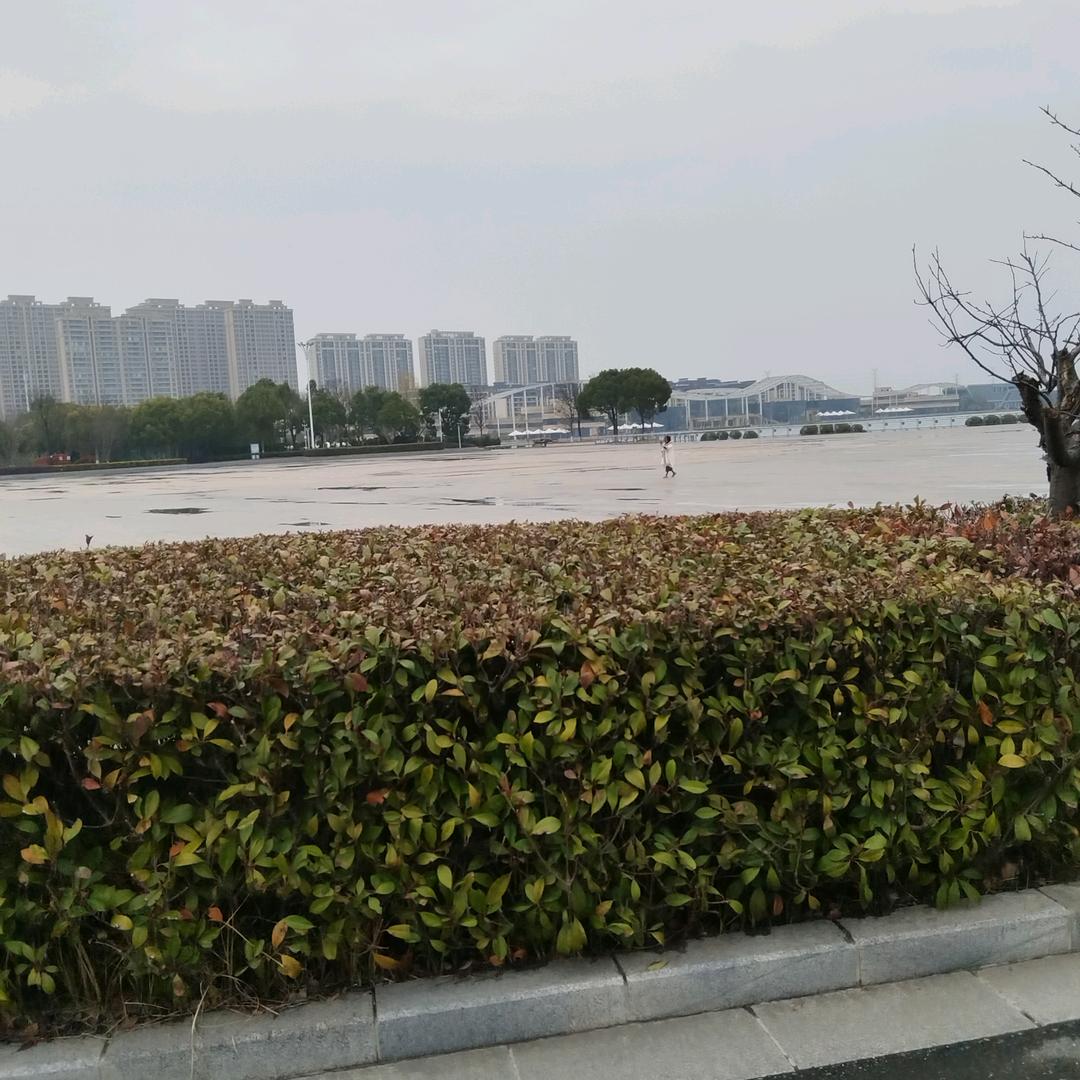 云之彼端