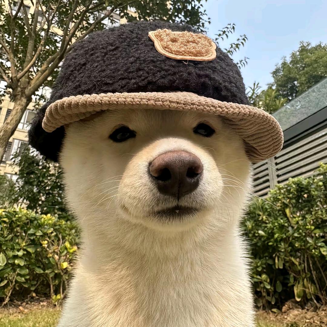厄尔尼诺