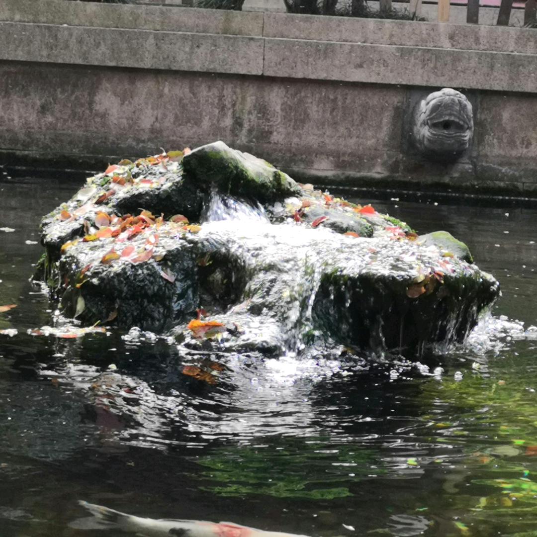 柒安
