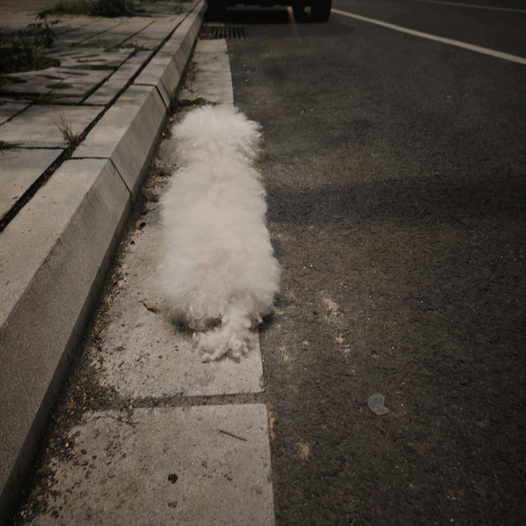 健康平安🐇