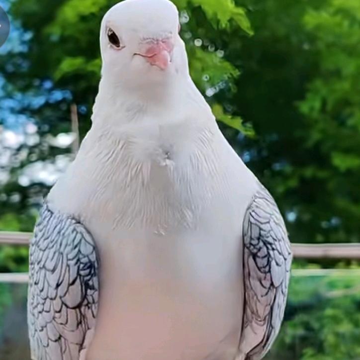 XINHUA原创工作室