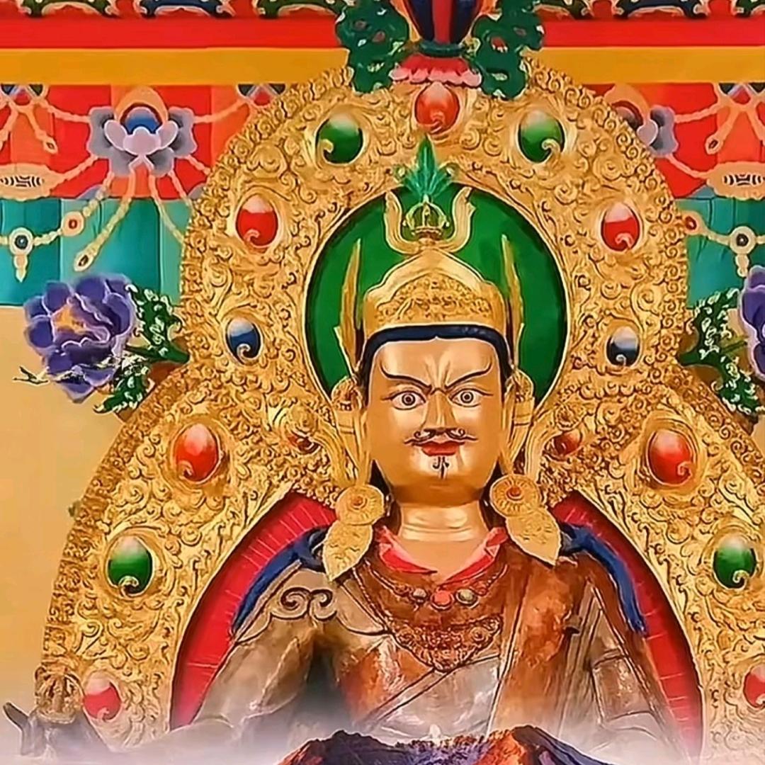 康👉索登