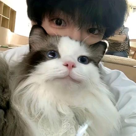 君莫笑不玩辅助