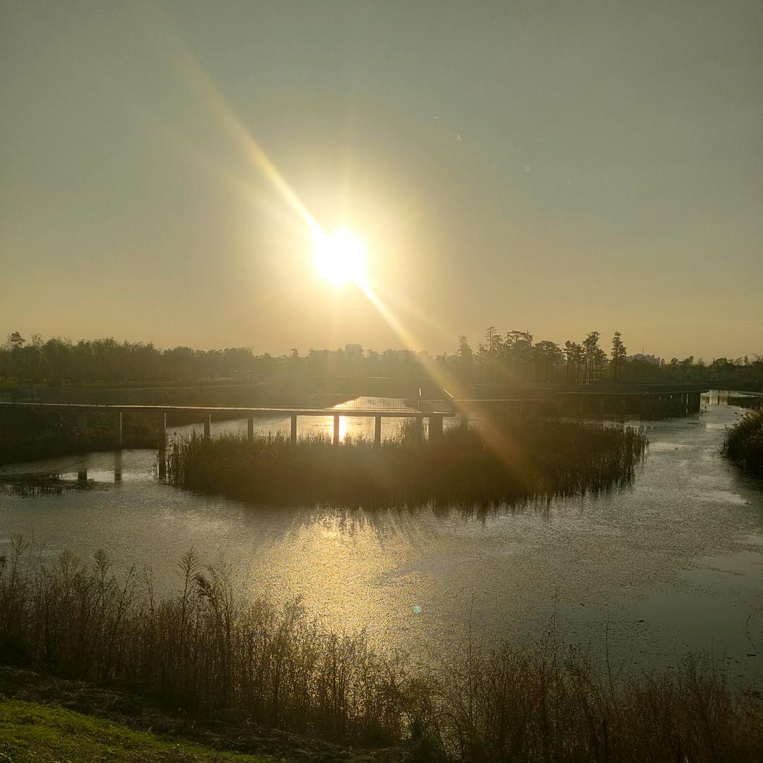 এ᭄²⁰25໑多财多亿ღ᭄🌻