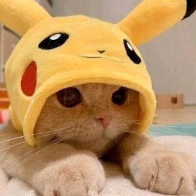 又㕛叒叕胖了
