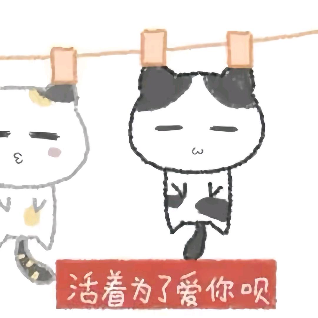 武禹岐