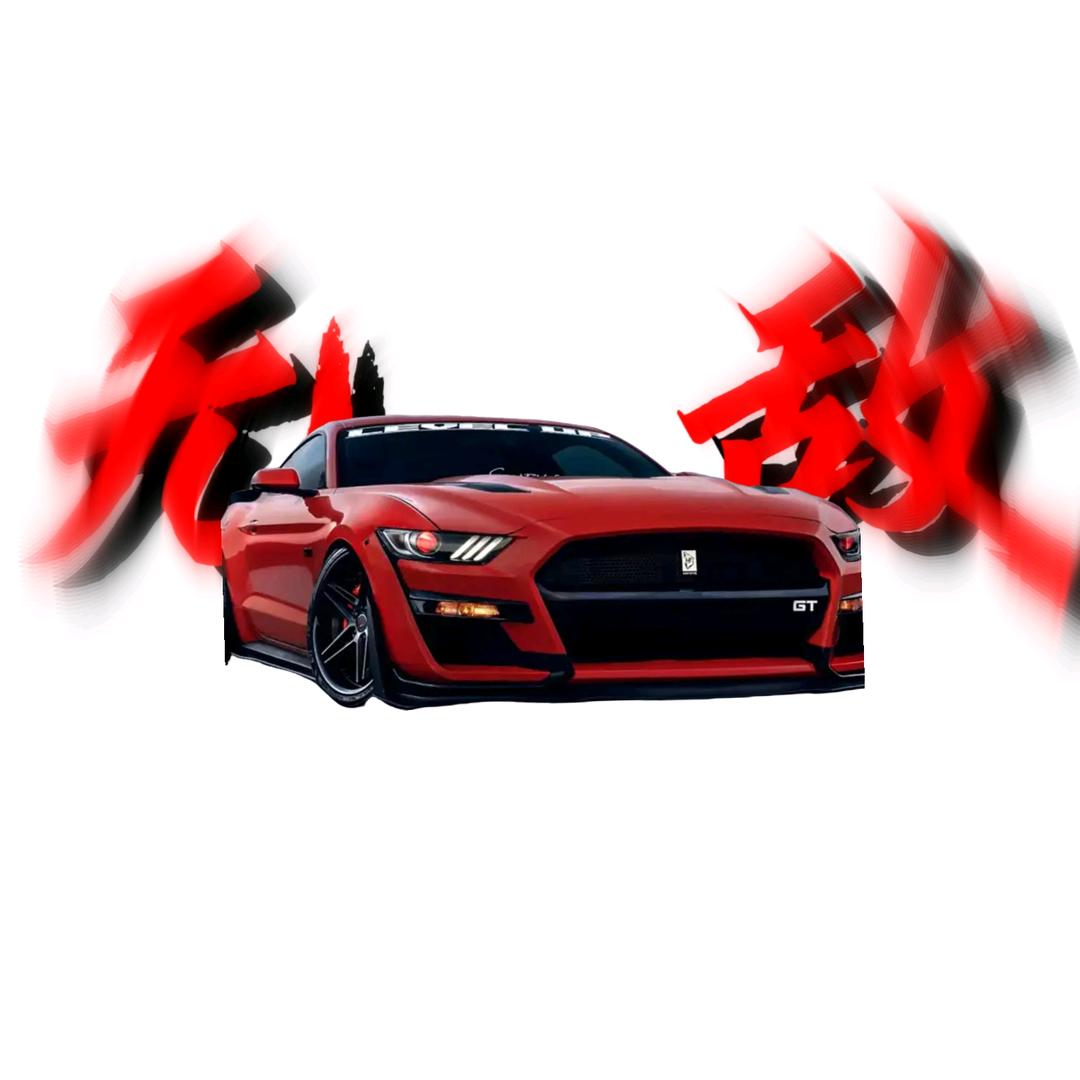 S9赛(大号)冲破(1530)粉丝