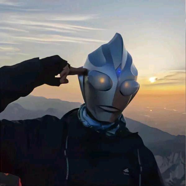很酷不爱狗