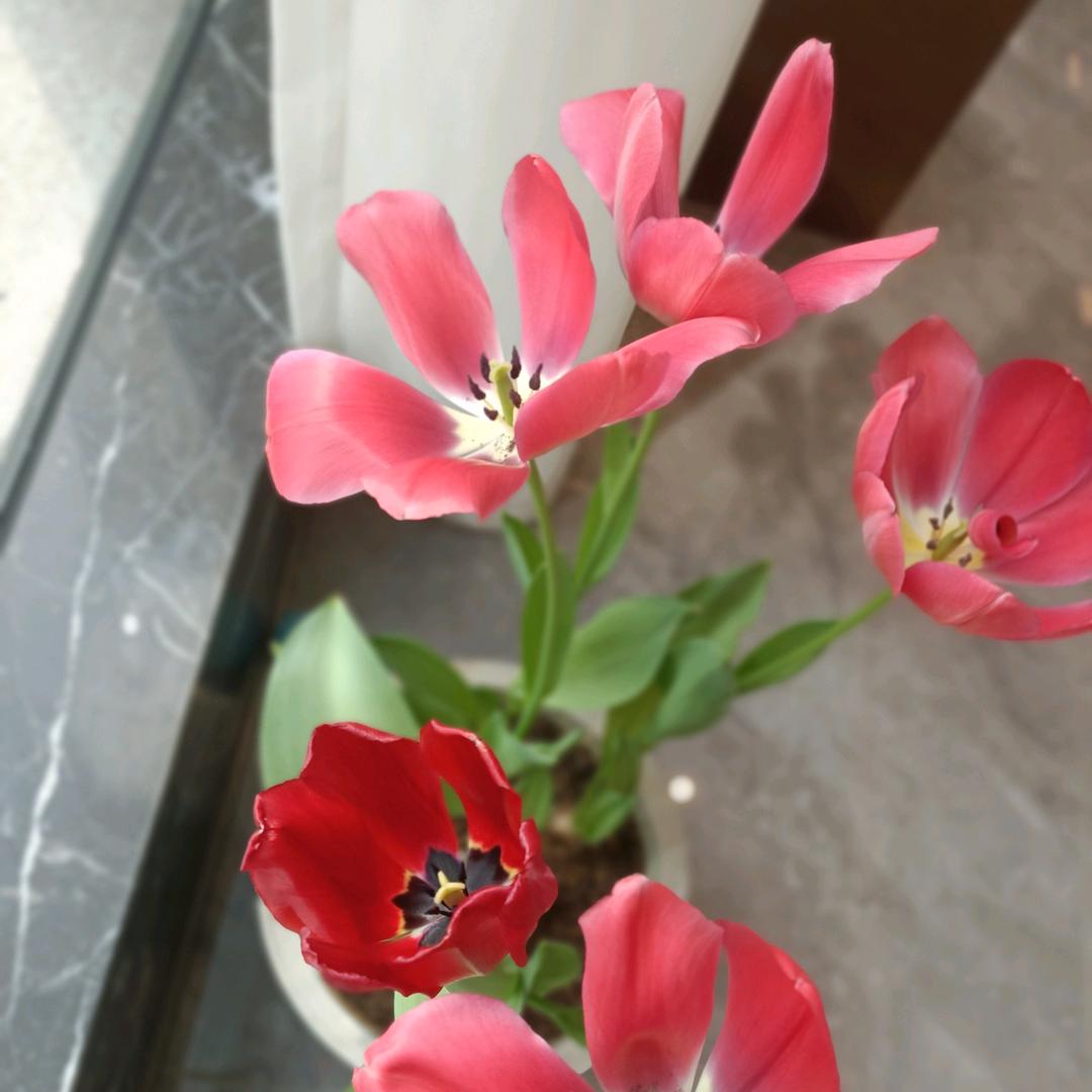 延津卫浴