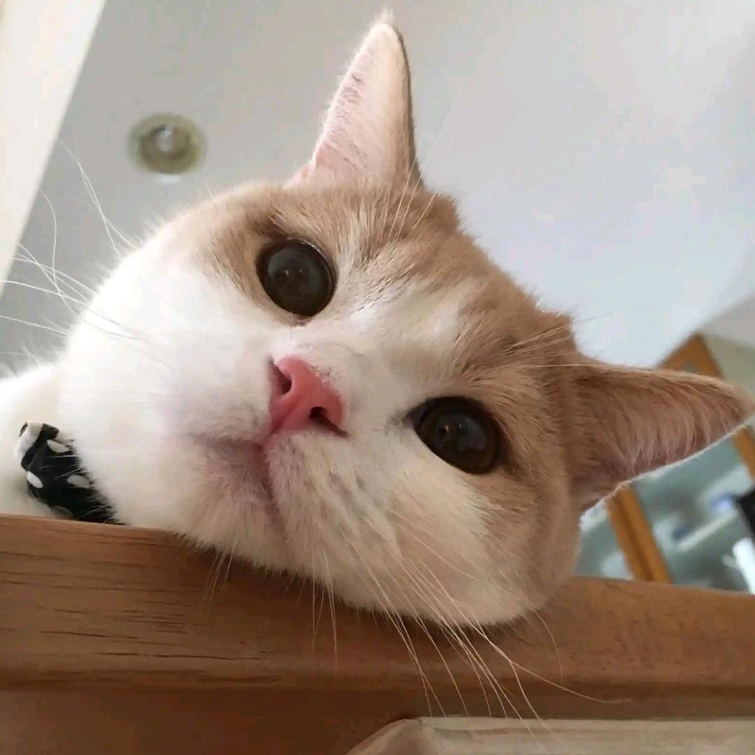 绝版的❤️自己