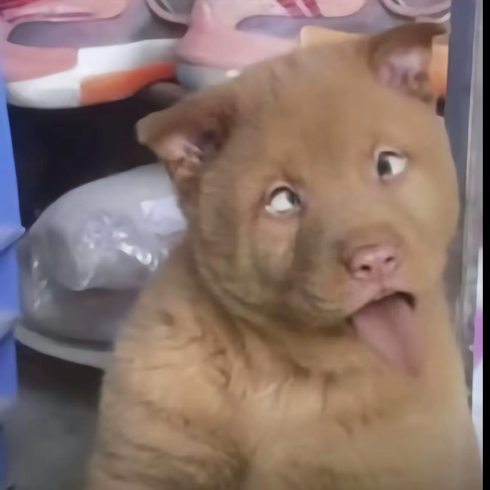 向某