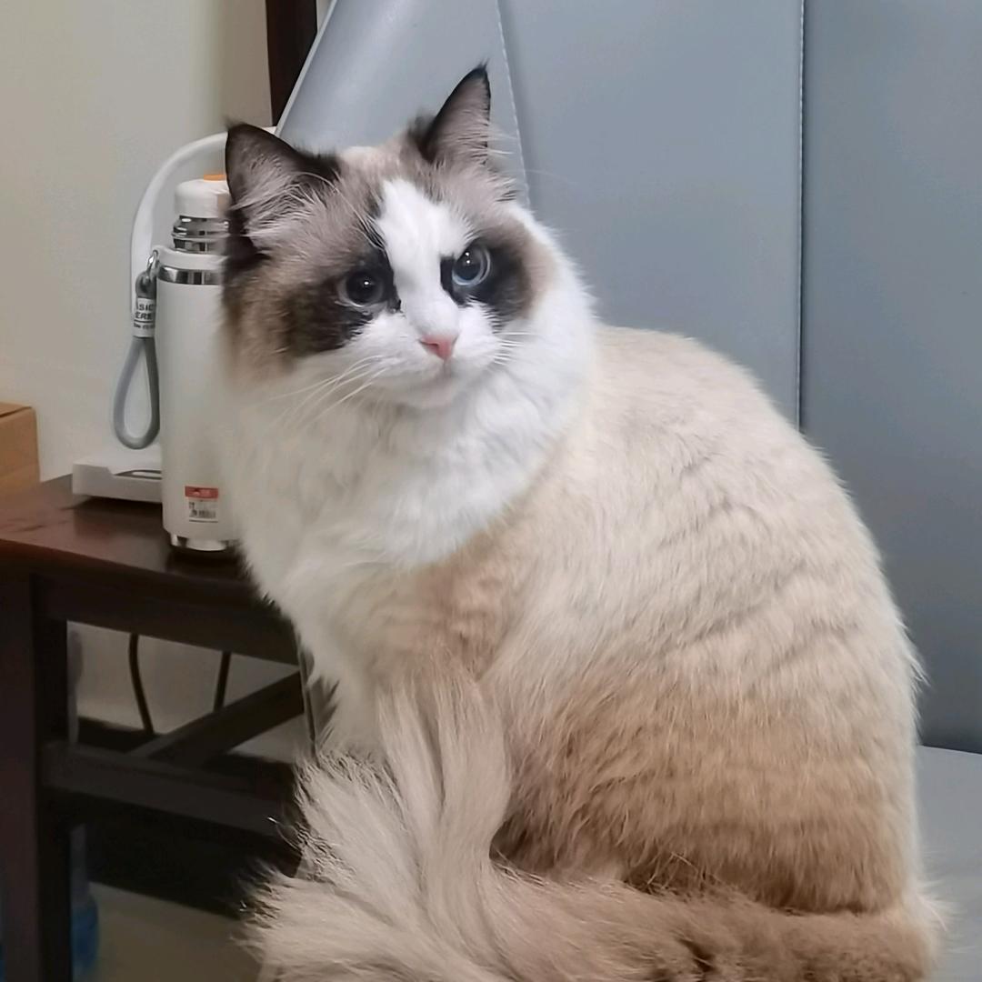 缘尽ZH