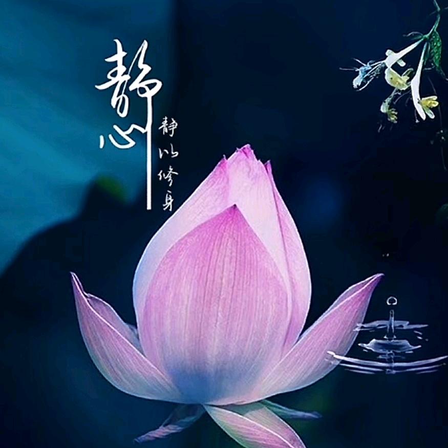 小泽养生保健店