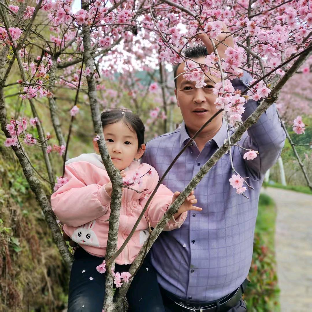 雨中漫步（杨）