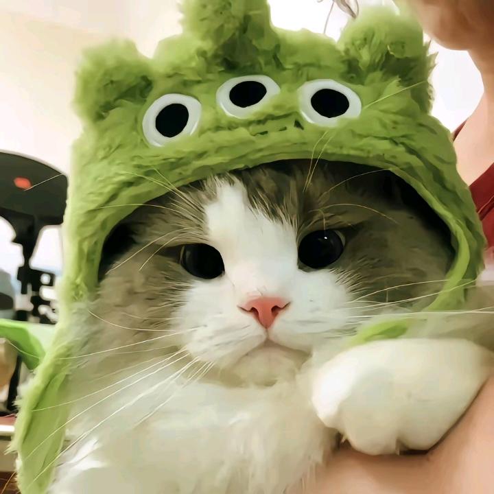 Aaaa-涵