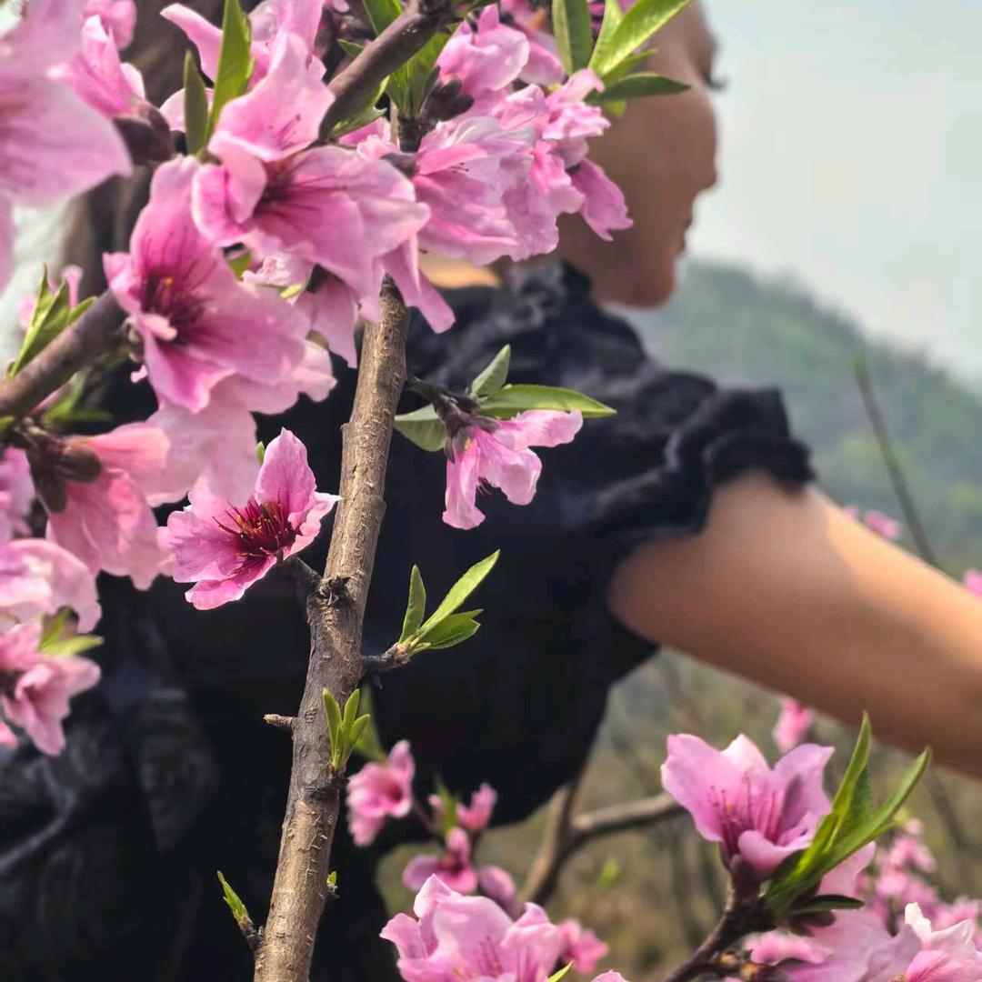 黄娥