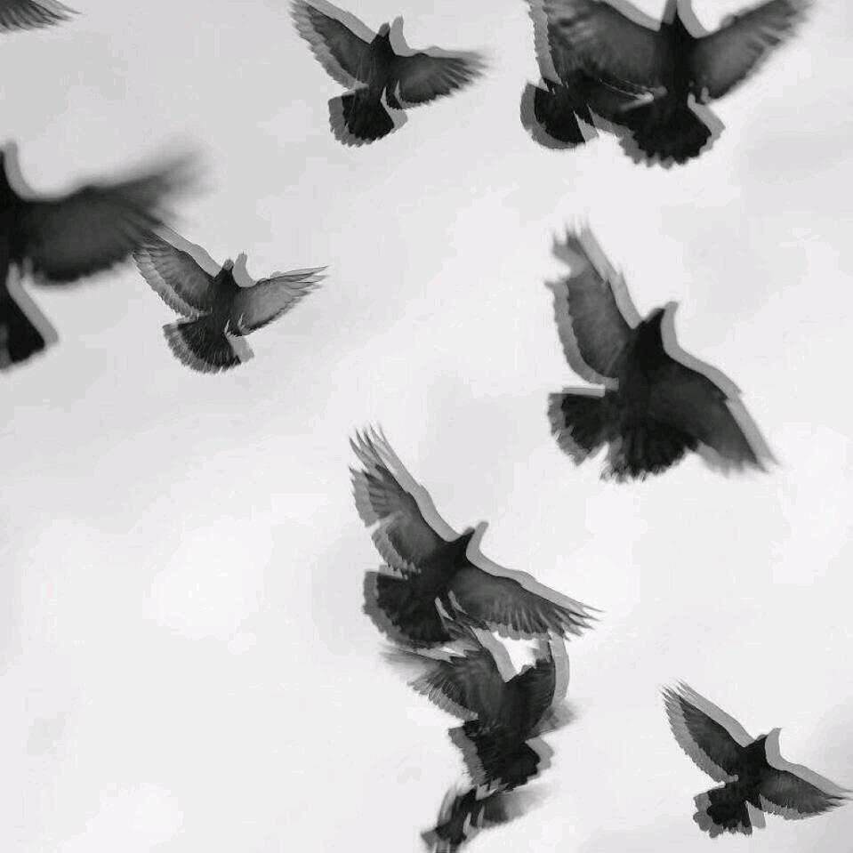 本
