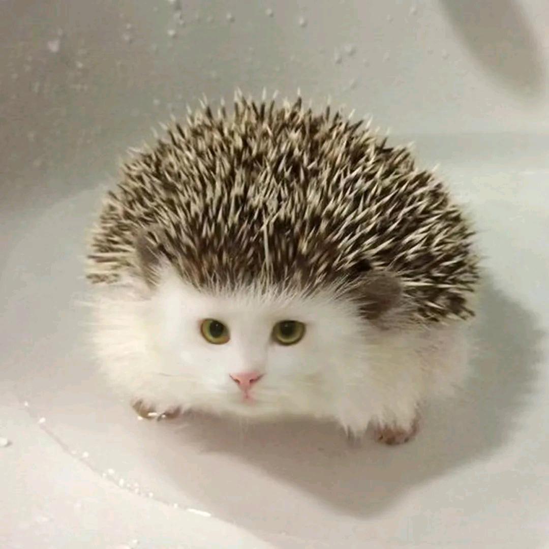 余生渡良人