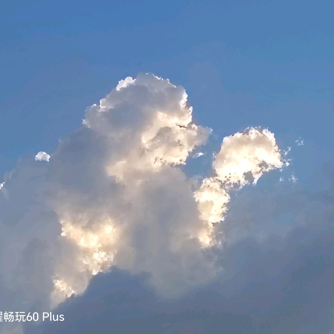 M梅花
