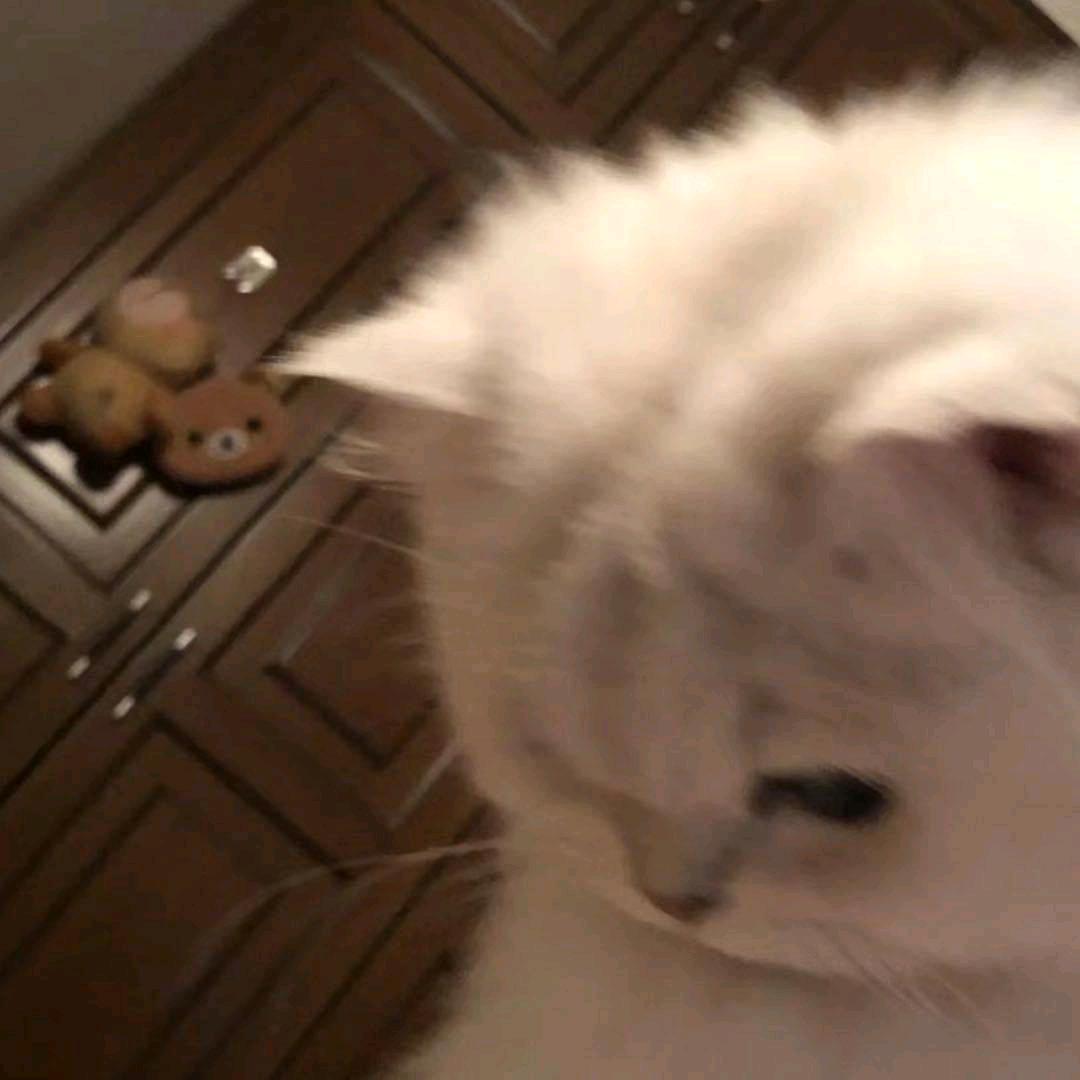 泡彤片