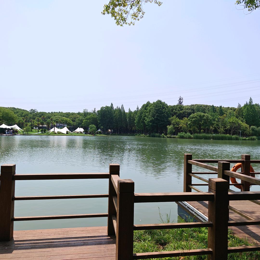 自己的路自己走