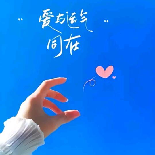 🌺🌹花姐🍀🌻