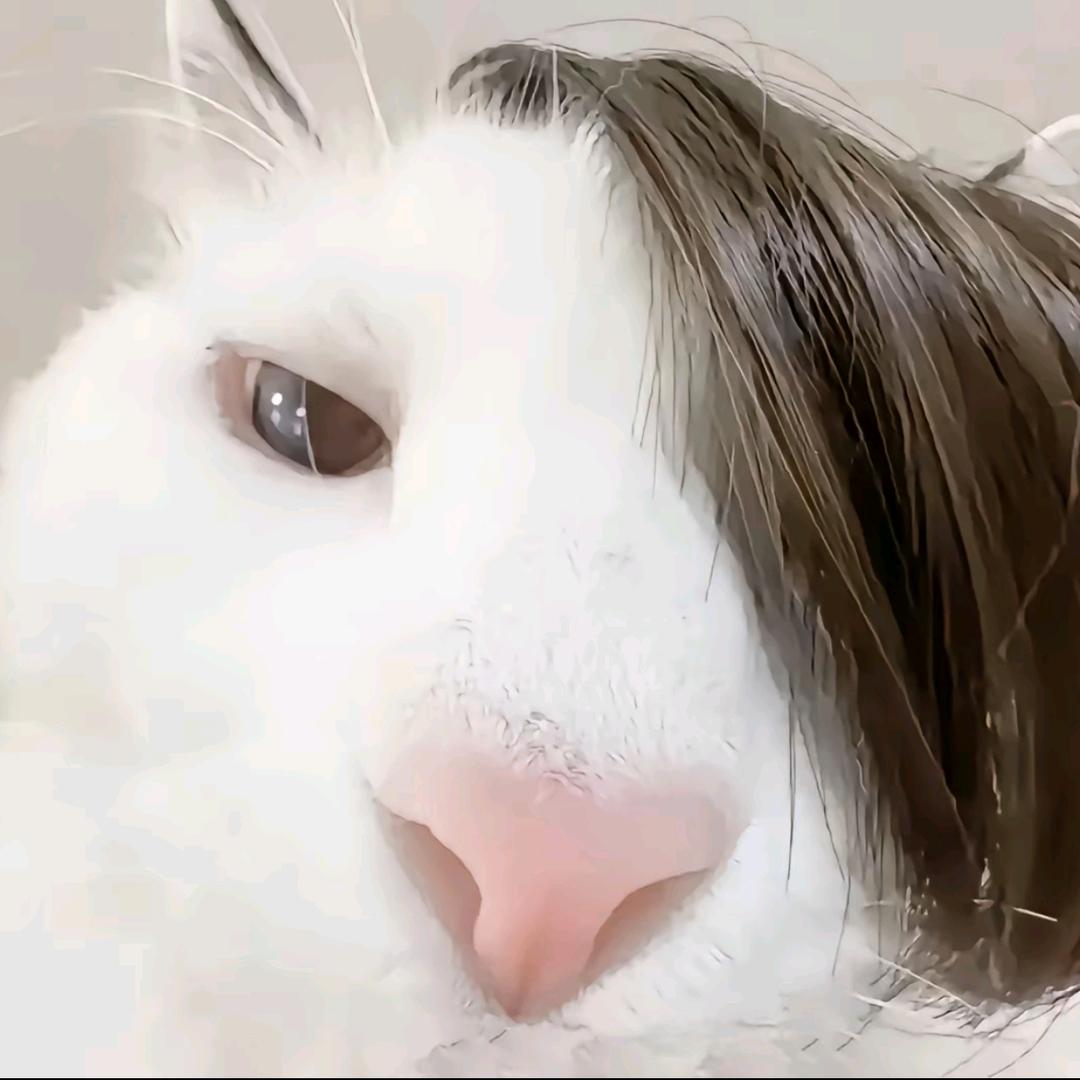 银角