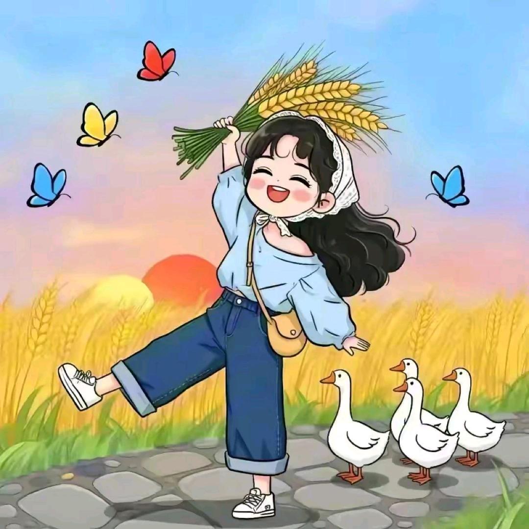 风和日丽
