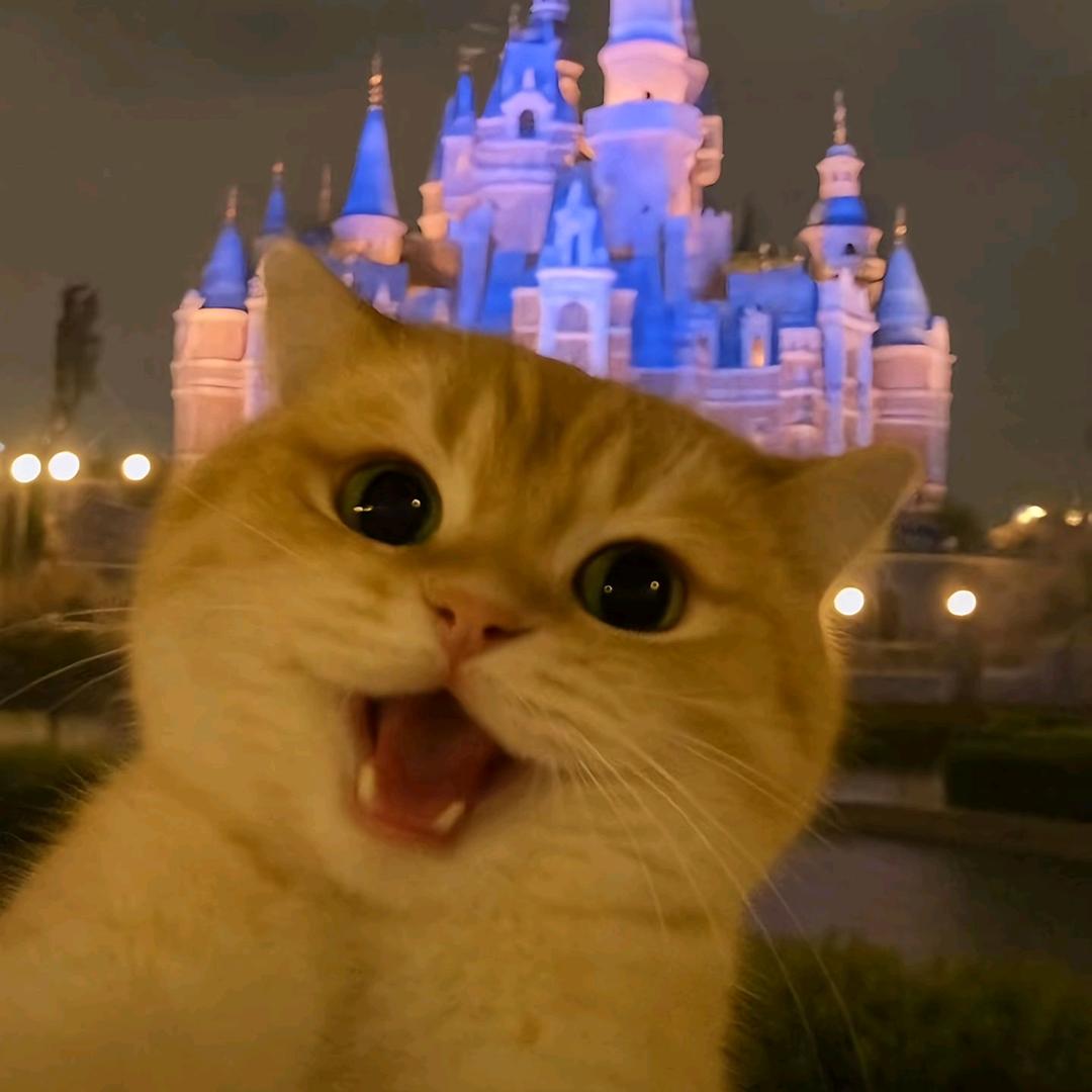 ㅤㅤㅤ