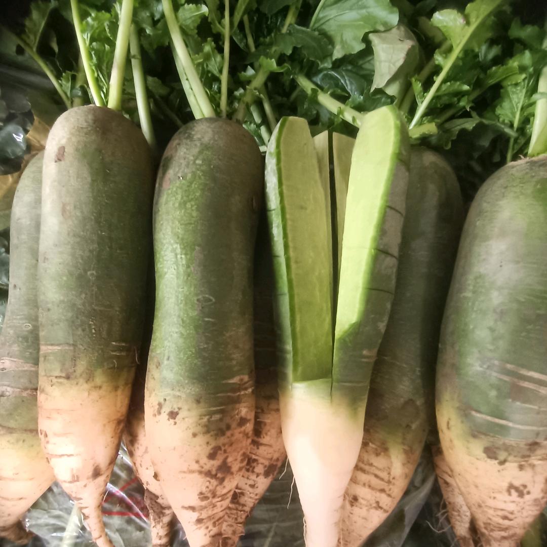 潍县正宗富硒萝卜