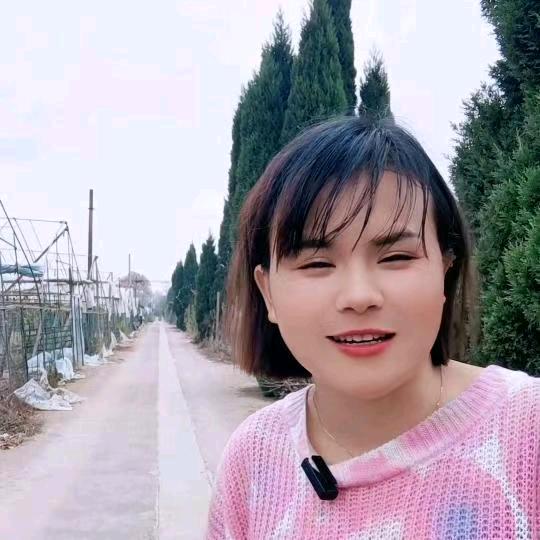 洪家妹子【上午5：50开播】
