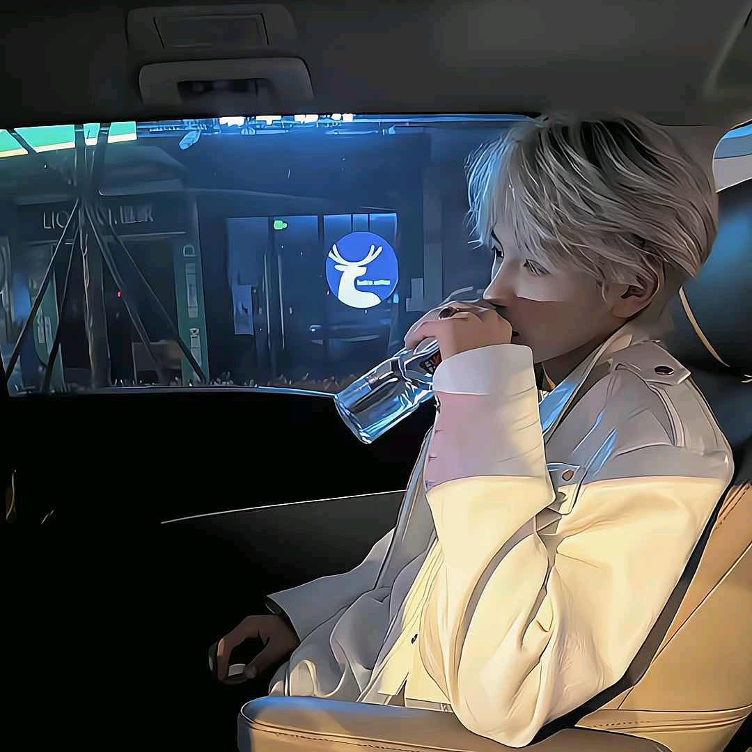 朱颜辞镜