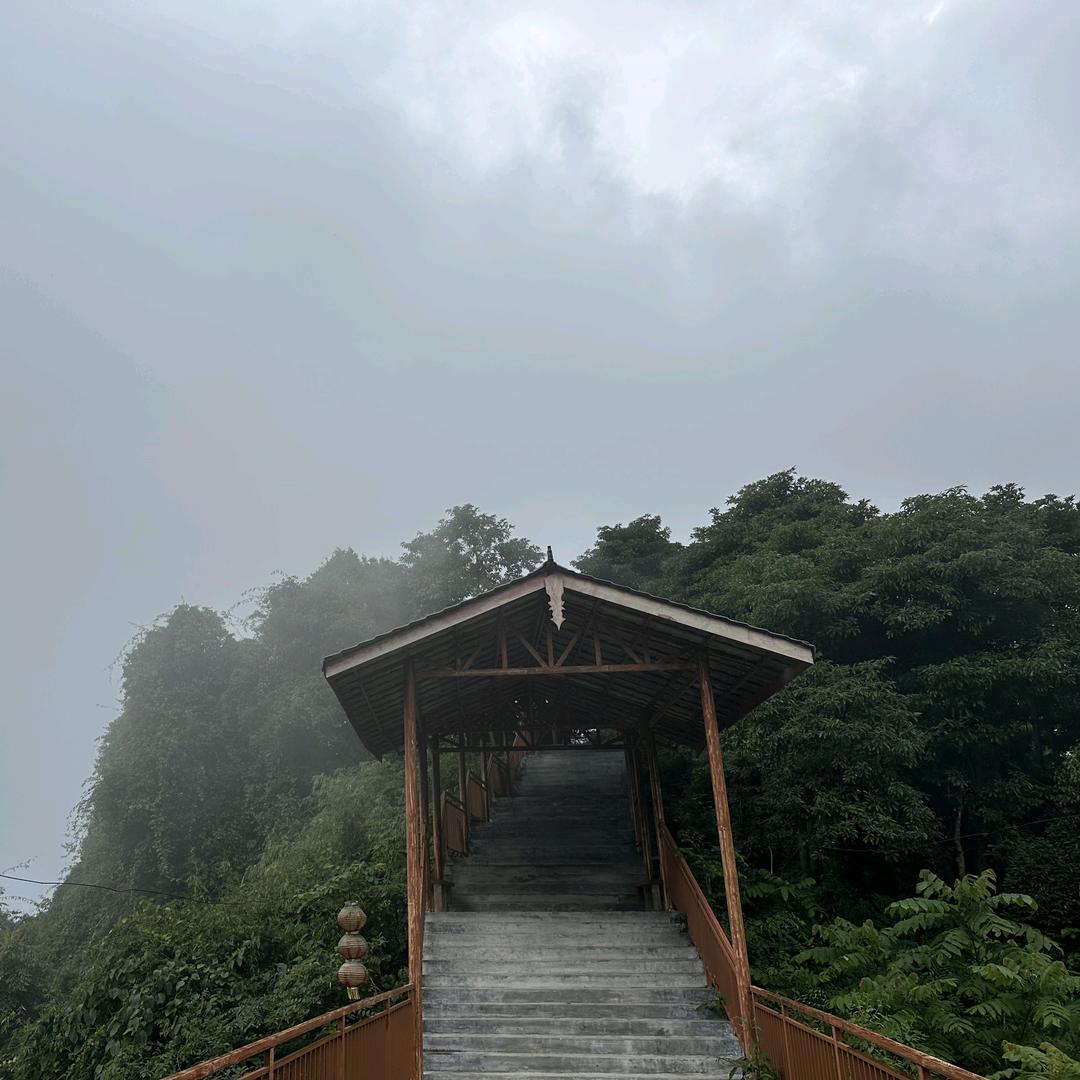 竞价王(在另外一个号直播)