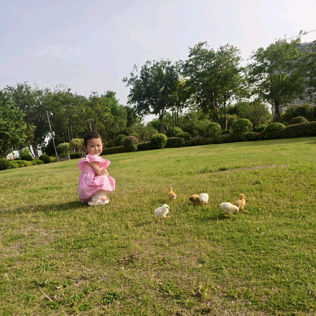 兄弟车行  金箭，小刀