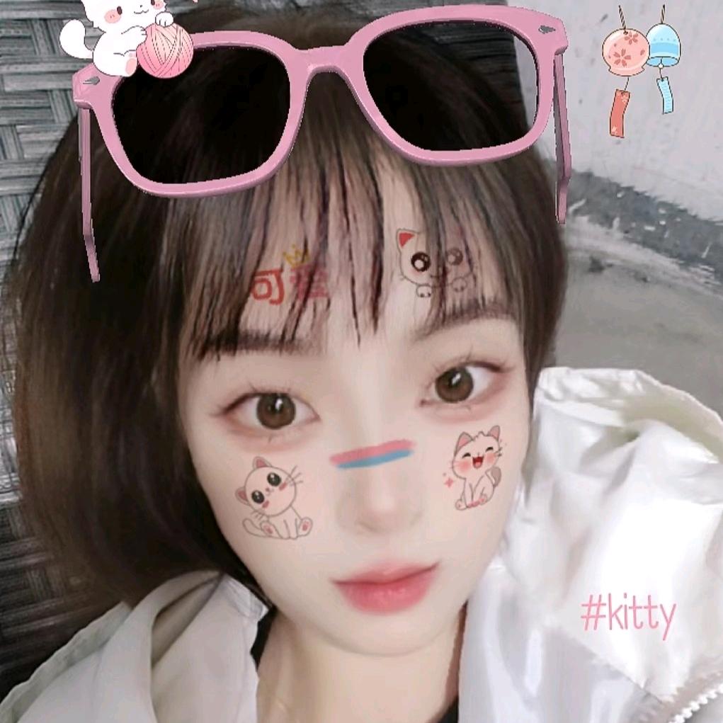 ᪄ᩏᩘ  小懒猪╮