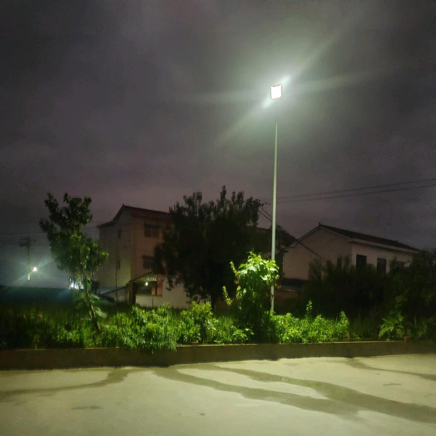 刘静