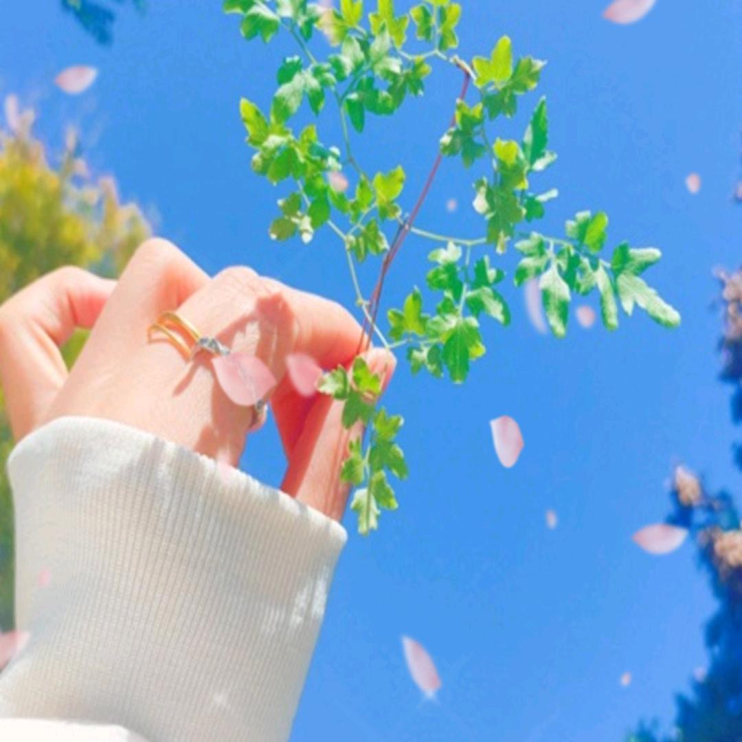 言儿轩儿